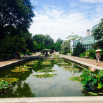 NYC Guide: Brooklyn Botanic Garden