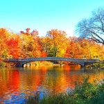 NYC Guide: Fall in Central Park