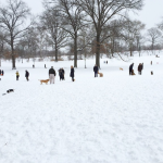 NYC Guide: Snowmaggedon 2015
