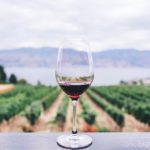 How to Buy Wine