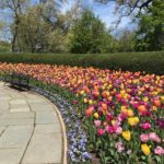 NYC Guide: Springtime at the Conservatory Garden in Central Park